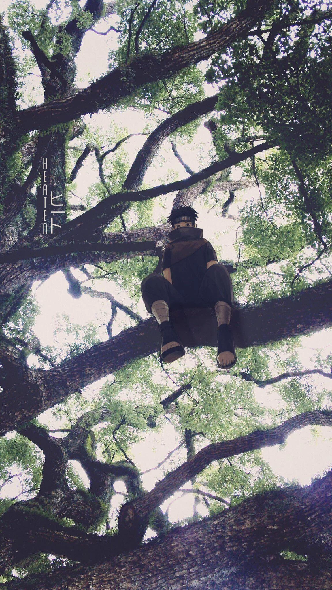 Free Download Naruto In Tree Wallpaper Page 649321 (1152 x 2048)