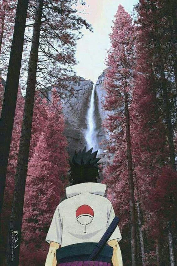 Free Download Naruto In Tree Wallpaper Page 649341 (564 x 846)