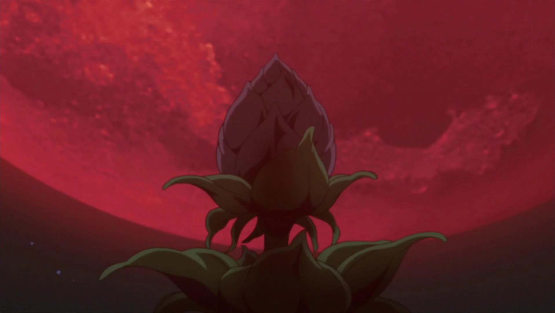 Free Download Naruto In Tree Wallpaper Page 649349 (1916 x 1080)