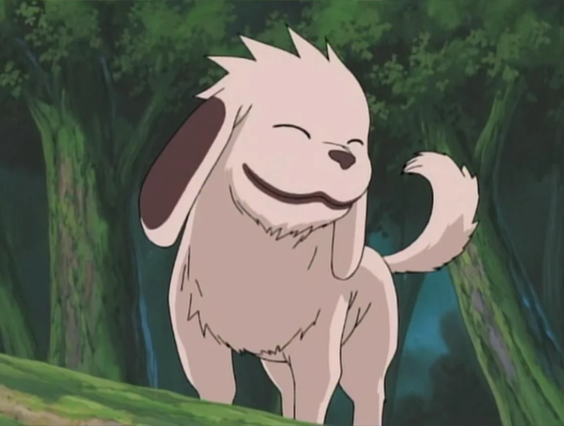 Free Download Naruto Kiba And Akamaru Wallpaper Page 652805 (1122 x 848)