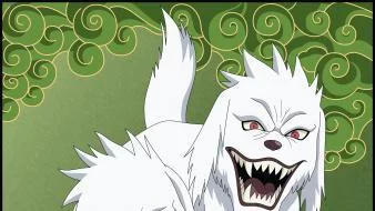Free Download Naruto Kiba And Akamaru Wallpaper Page 652817 (338 x 190)