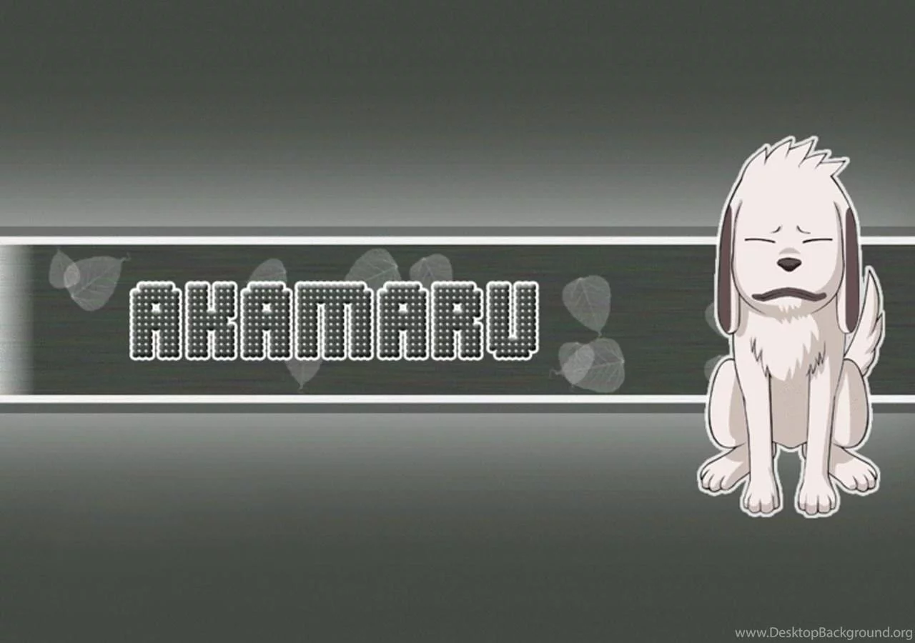 Free Download Naruto Kiba And Akamaru Wallpaper Page 652829 (1280 x 900)
