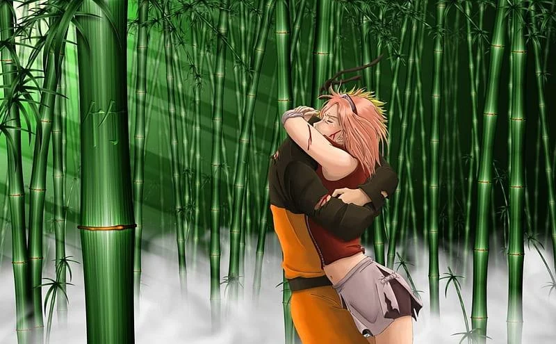 Free Download Naruto Love Sakura Wallpaper Page 697993 (800 x 495)