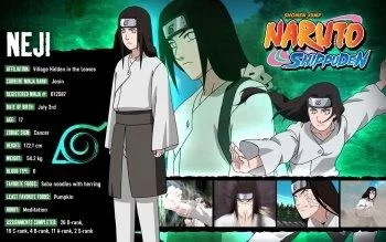 Free Download Naruto Neji Wallpapers Hd Page 716953 (350 x 219)