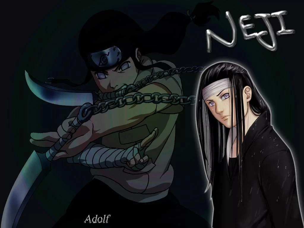 Free Download Naruto Shippuden Neji Hyuga Wallpaper Page 716988 (1024 x 768)