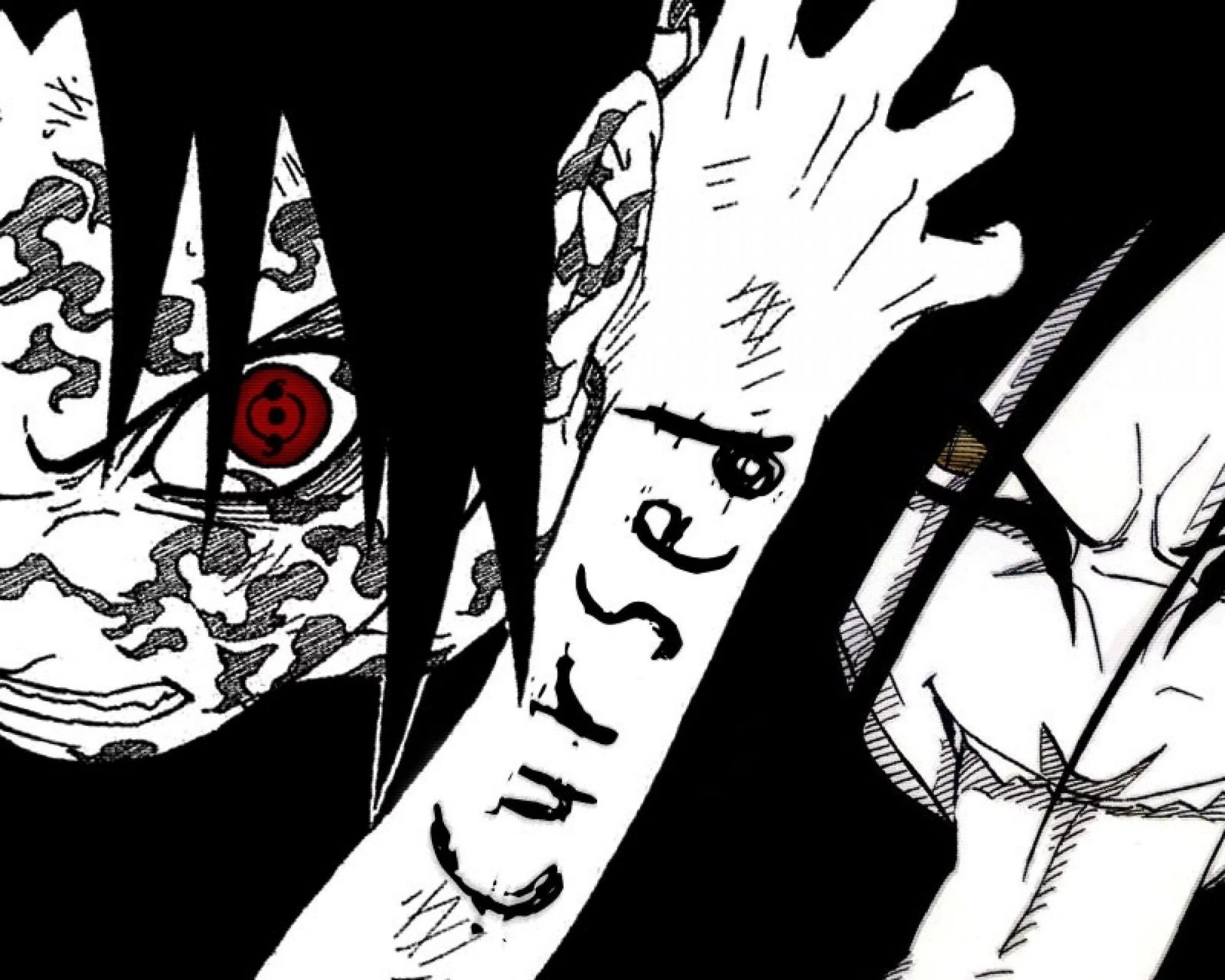 Free Download Naruto Nine Tailed Fox Vs Sasuke Curse Mark Wallpaper Page 780436 (2560 x 2048)