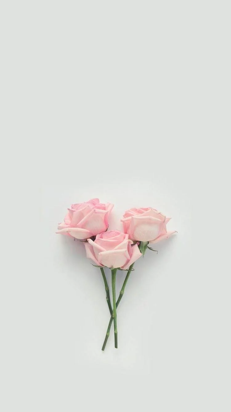 Free Download Naruto Rose Gold Wallpaper Page 782577 (750 x 1335)