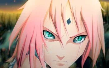 Free Download Naruto Sakura Wallpaper Hd Page 800288 (350 x 219)