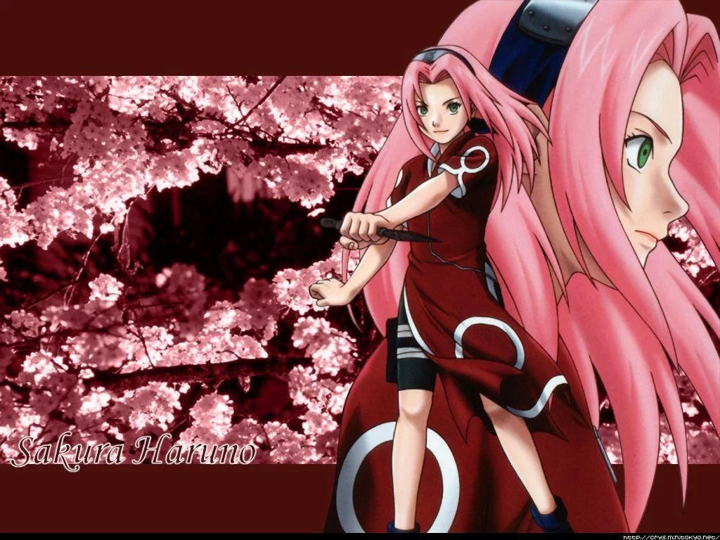 Free Download Naruto Shippuden Sakura And Hinata Wallpaper Page 800296 (1024 x 768)
