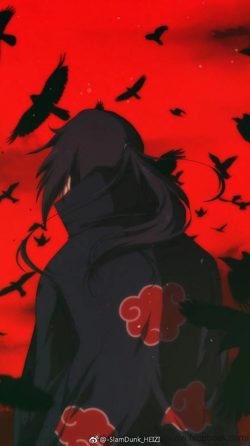 Free Download Naruto Sasuke Sakura Akatsuki Wallpaper Page 80110 (800 x 1423)
