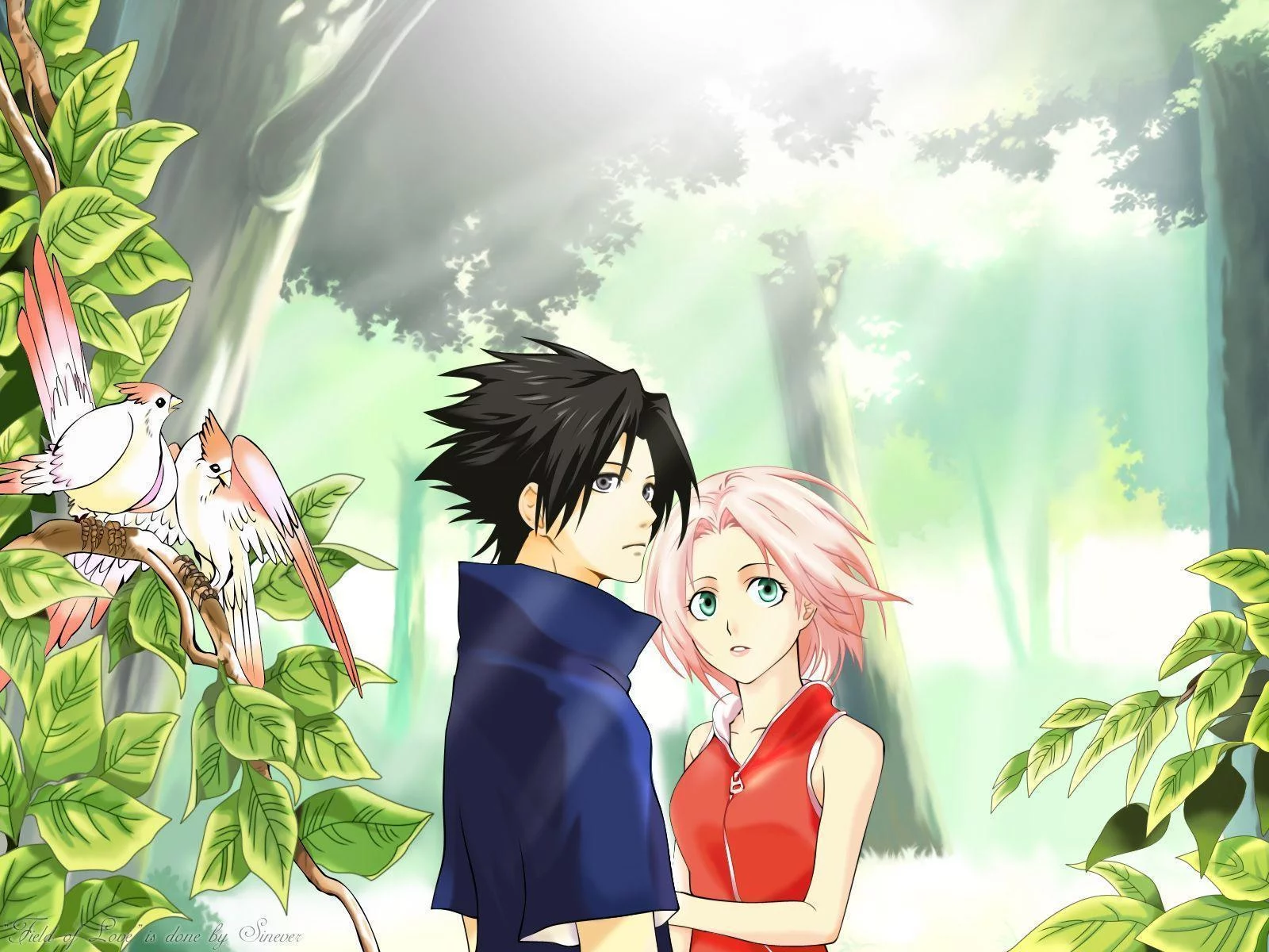 Free Download Naruto Sasuke Sakura And Hinata Wallpaper Wallpaper Cave Page 813486 (1600 x 1200)