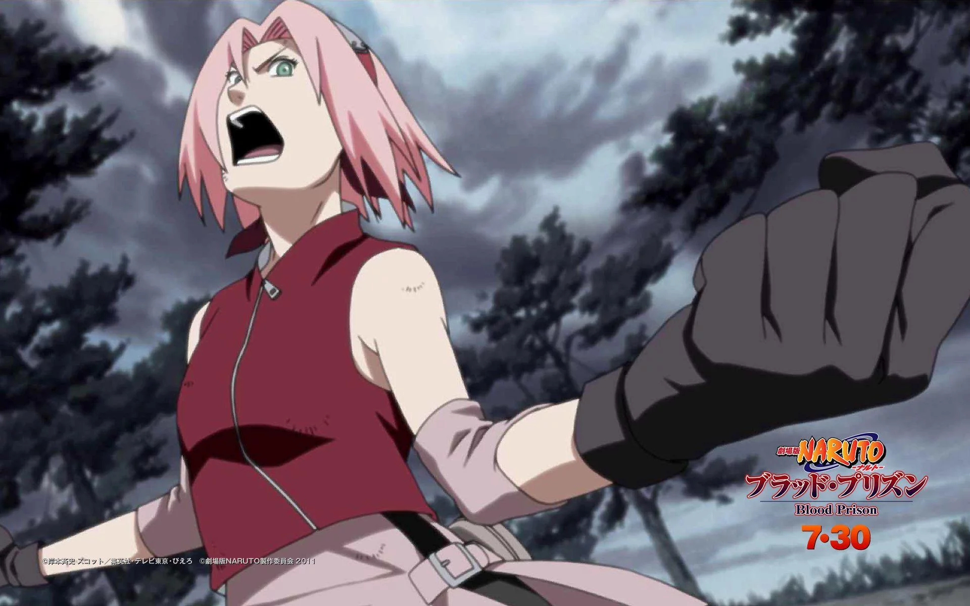 Free Download Naruto Sakura Live Wallpaper Page 815343 (1920 x 1200)
