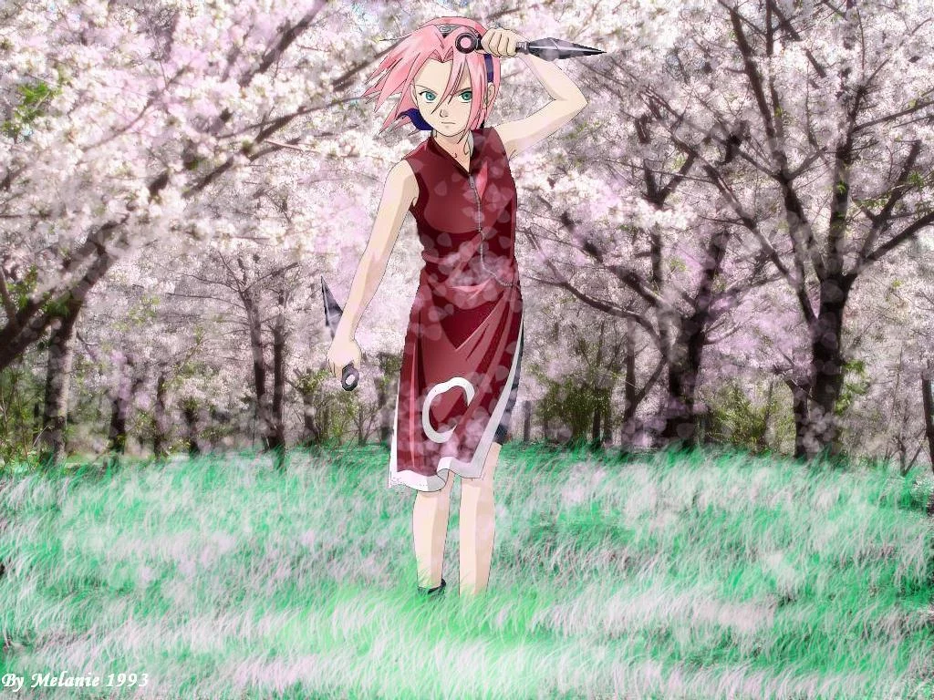 Free Download Naruto Sakura Blossoanime Wallpaper Page 815409 (1024 x 768)