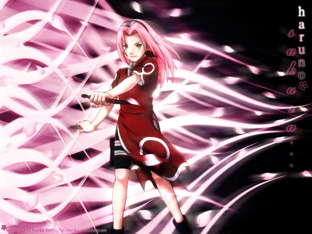 Free Download Naruto Sakura Blossoanime Wallpaper Page 815411 (1024 x 768)