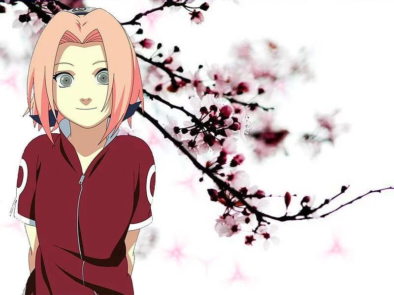 Free Download Naruto Sakura Blossoanime Wallpaper Page 815418 (800 x 600)