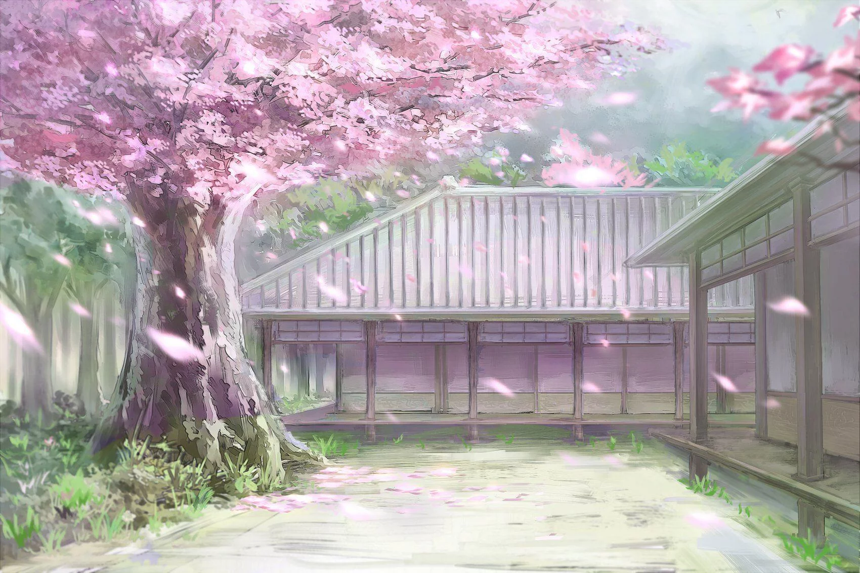 Free Download Naruto Sakura Blossoanime Wallpaper Page 815426 (1700 x 1133)