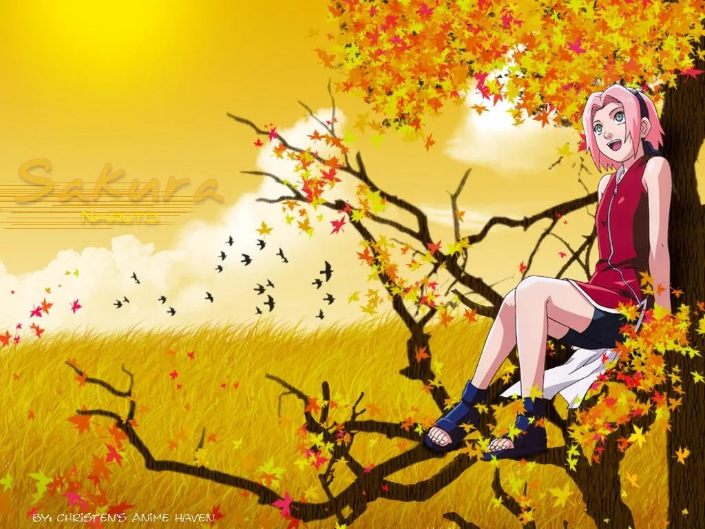 Free Download Naruto Sakura Blossoanime Wallpaper Page 815431 (1024 x 768)