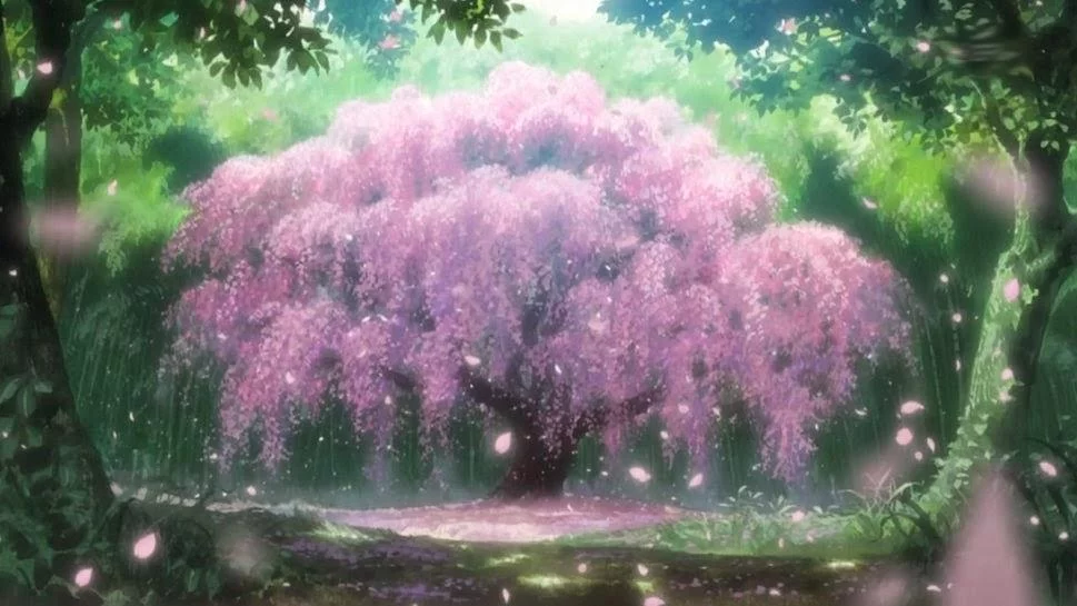 Free Download Naruto Sakura Blossoanime Wallpaper Page 815458 (969 x 545)