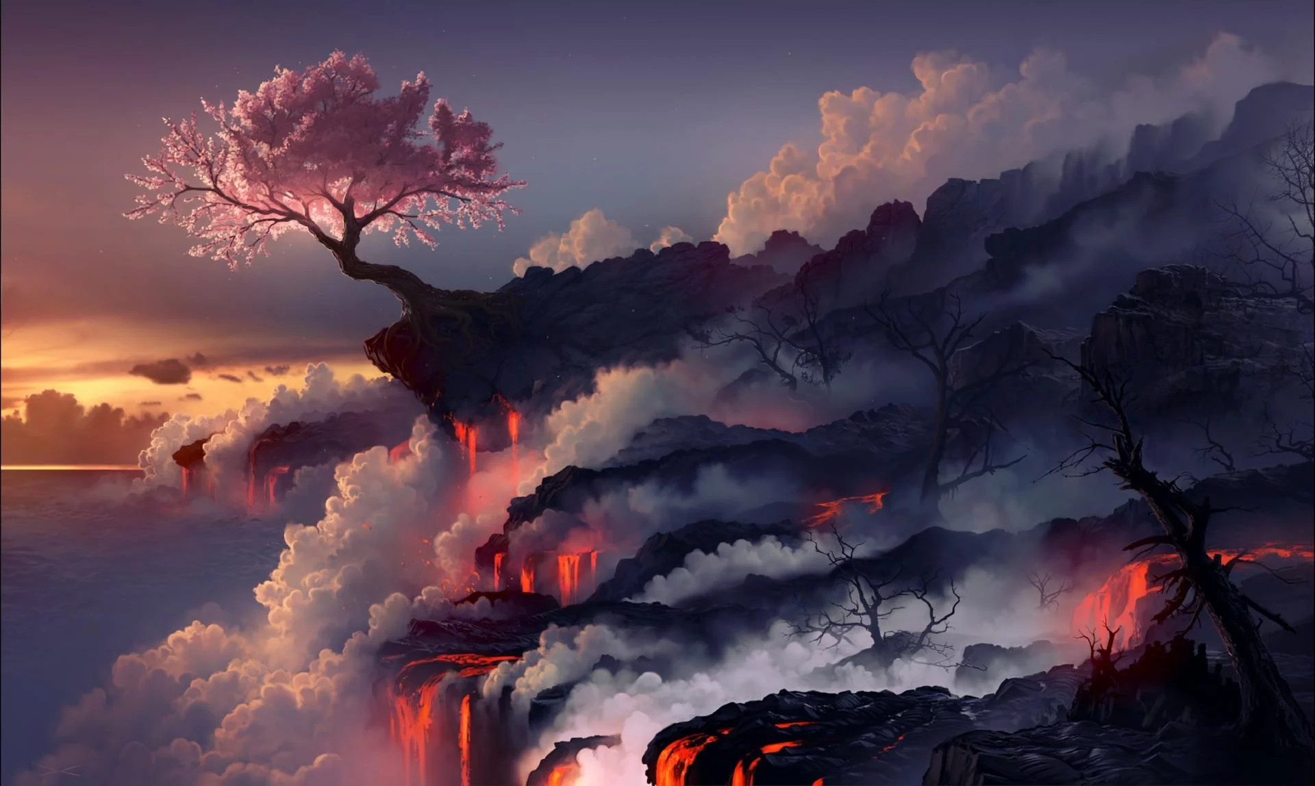 Free Download Naruto Sakura Blossoanime Wallpaper Page 815464 (1920 x 1148)