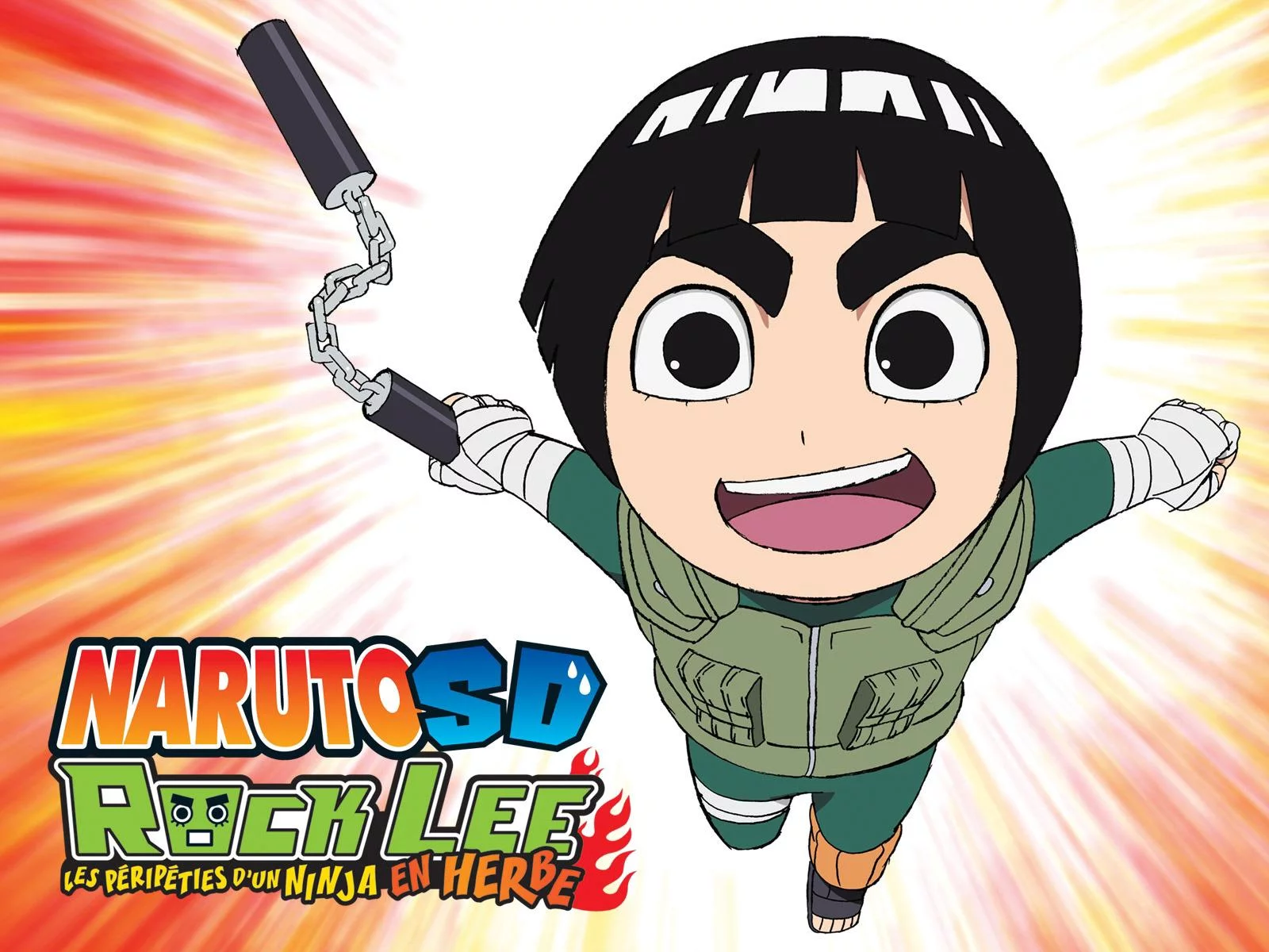 Free Download Naruto Sd Rock Lee Wallpaper Page 824440 (1600 x 1200)