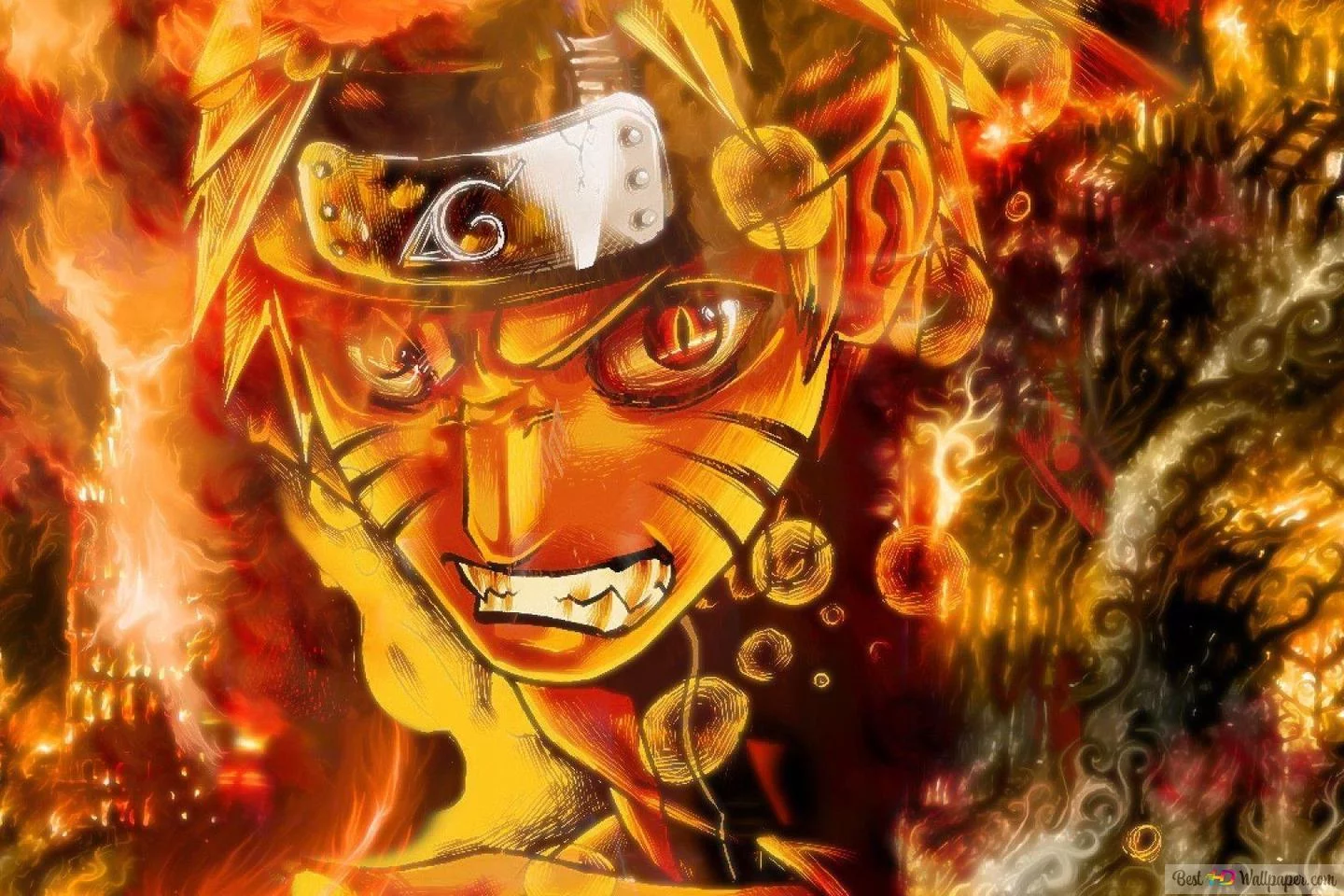 Free Download Naruto Manga Computer Wallpaper Cap Page 830418 (1440 x 960)