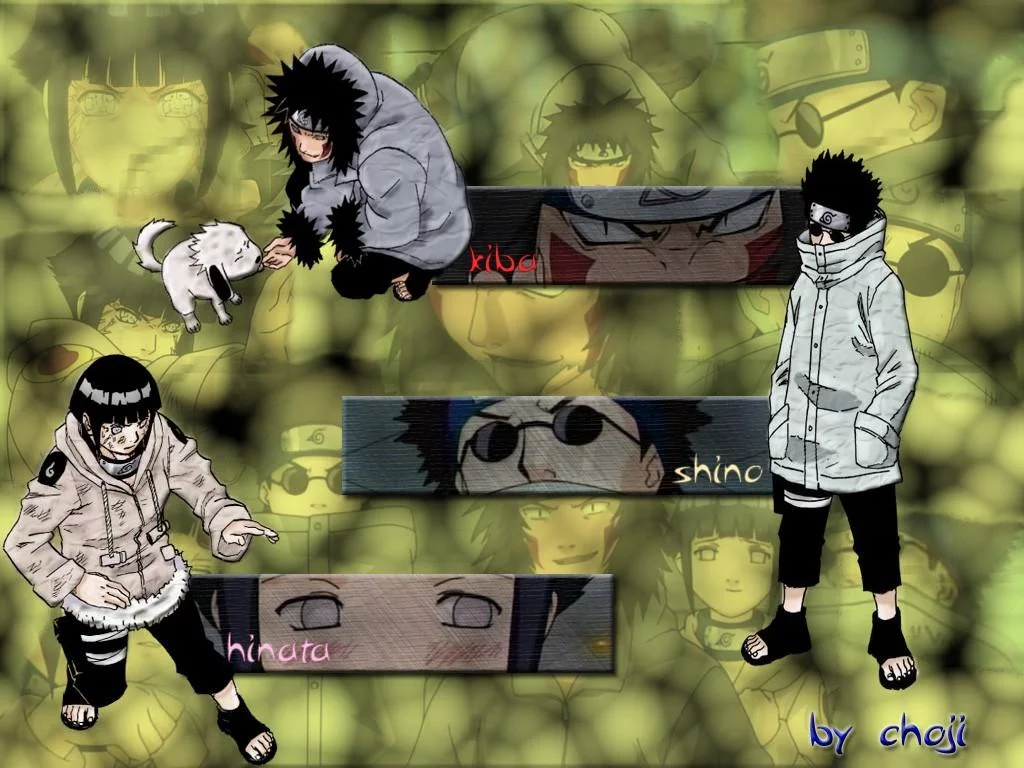 Free Download Naruto Shippuden Hinata Kiba Wallpaper Page 844198 (1024 x 768)