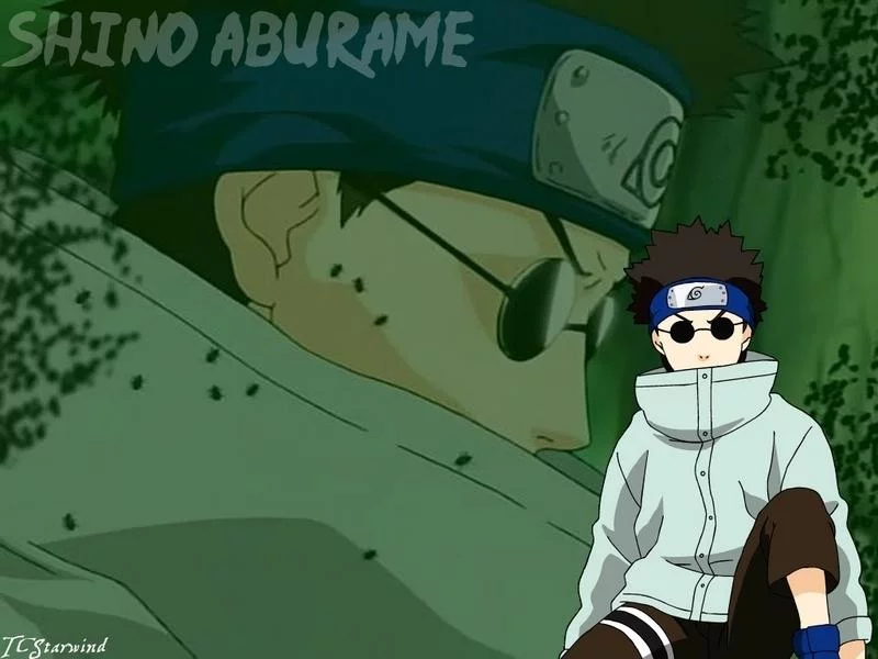 Free Download Naruto Shippuden Shino Wallpaper Page 844278 (800 x 600)