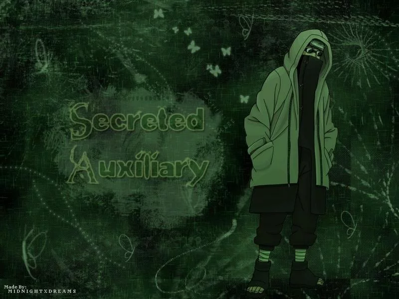 Free Download Naruto Shippuden Shino Wallpaper Page 844286 (800 x 600)