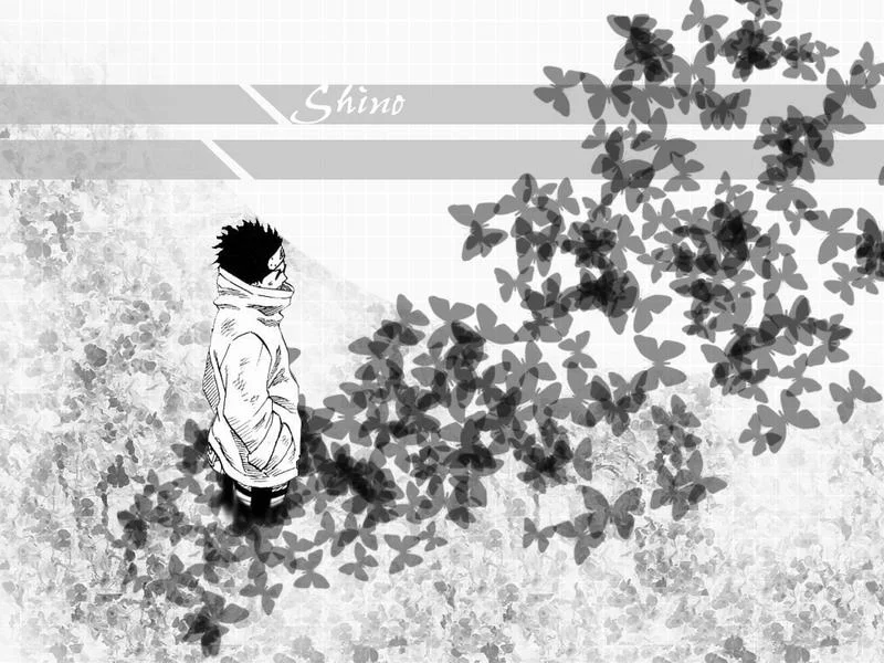 Free Download Naruto Shino Wallpaper 1920x1080 Page 844315 (800 x 600)