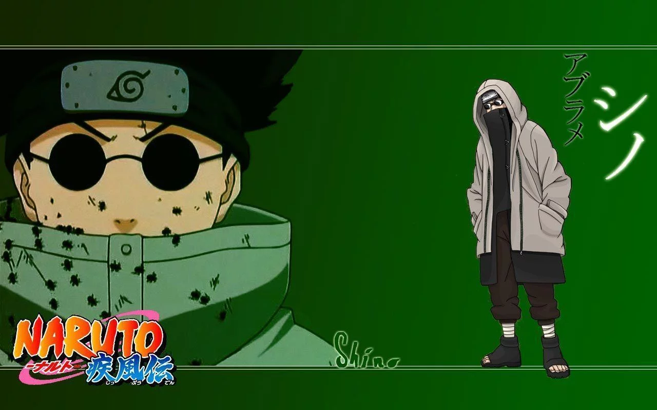 Free Download Naruto Shino Wallpaper 1920x1080 Page 844329 (1280 x 800)