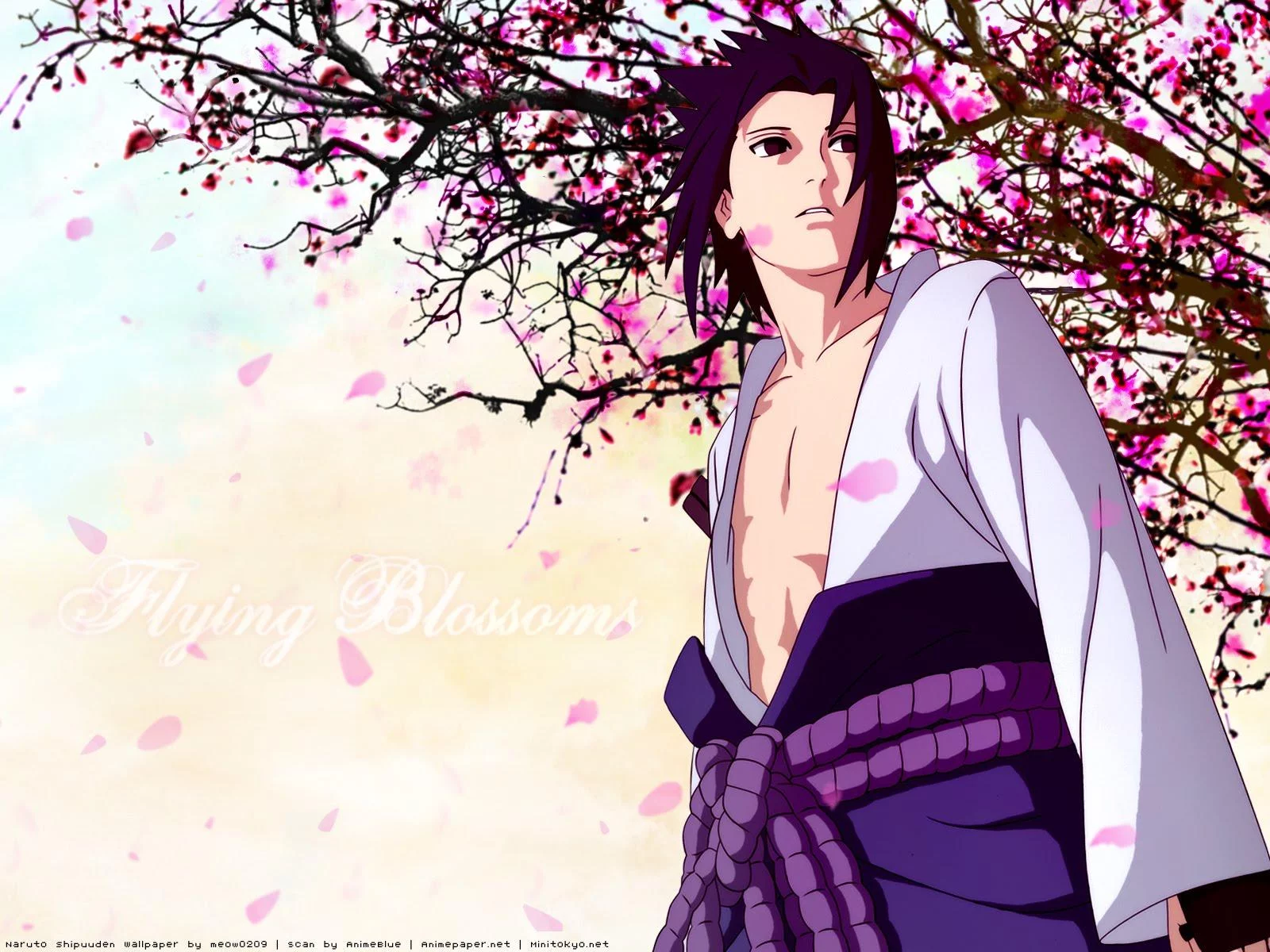 Free Download Naruto Shippuden Hd Wallpaper Minitokyo Page 865165 (1600 x 1200)