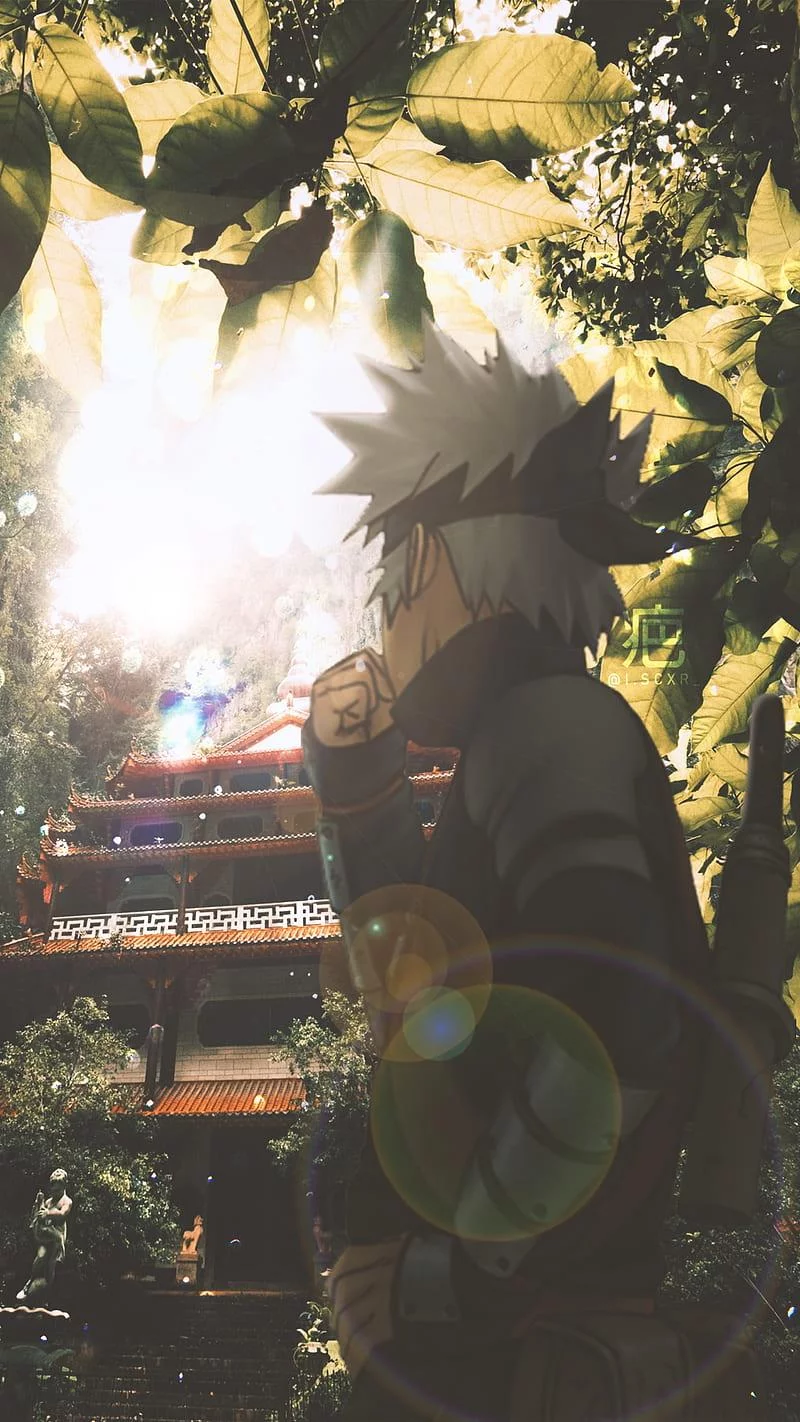 Free Download Naruto Shippuden In The Sun Wallpaper Page 866600 (800 x 1422)