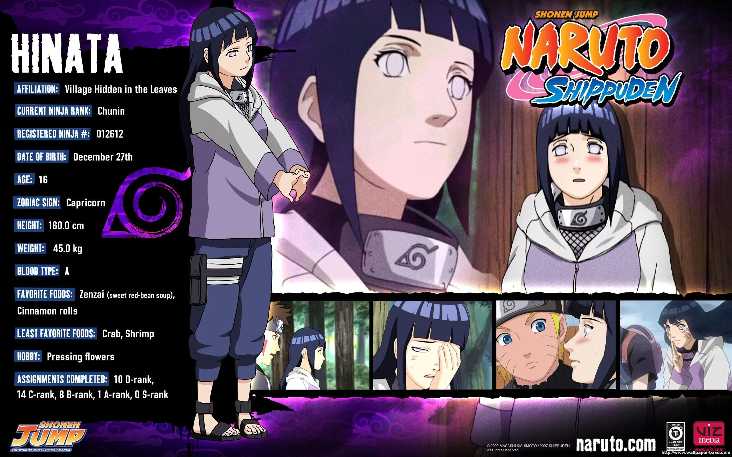 Free Download Naruto Shippuden Hinata Kiba Wallpaper Page 866959 (2560 x 1600)