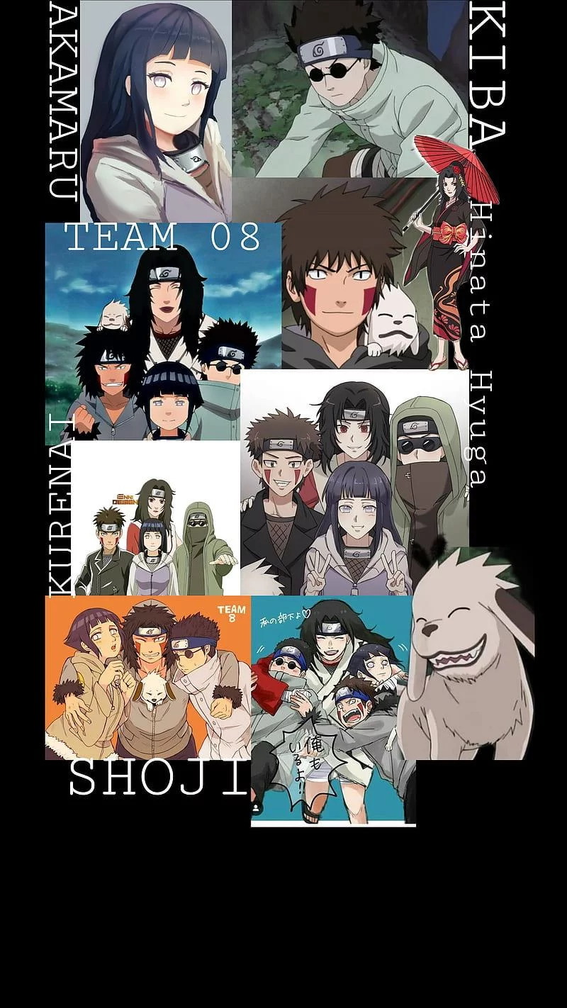 Free Download Naruto Shippuden Hinata Kiba Wallpaper Page 866969 (800 x 1422)
