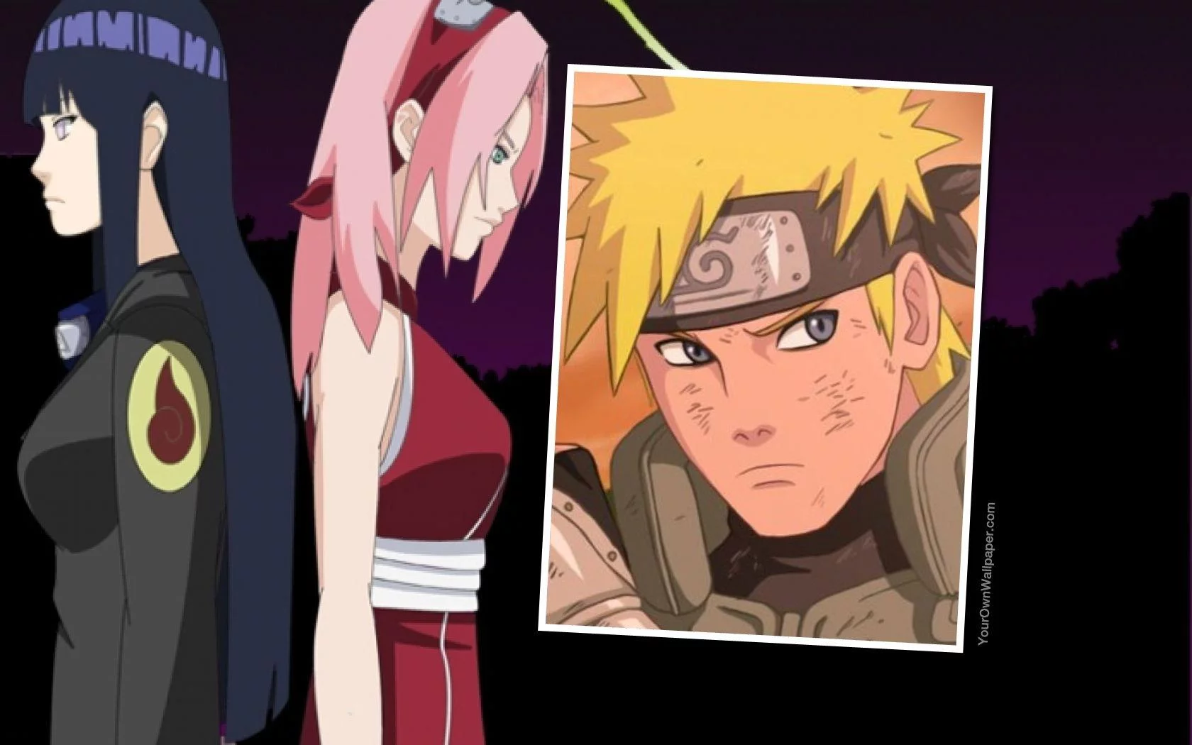 Free Download Naruto Shippuden Sakura And Hinata Wallpaper Page 949598 (1680 x 1050)