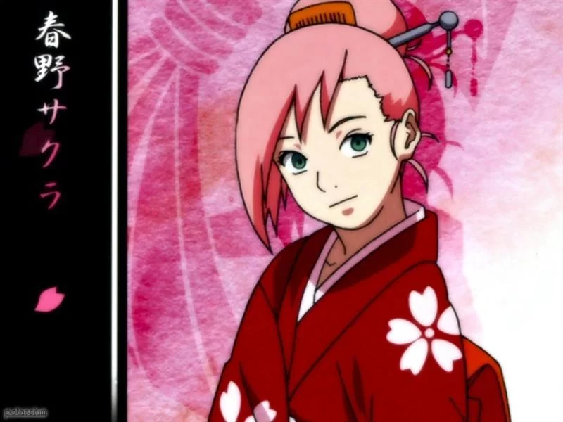 Free Download Naruto Shippuden Sakura And Hinata Wallpaper Page 949616 (800 x 600)