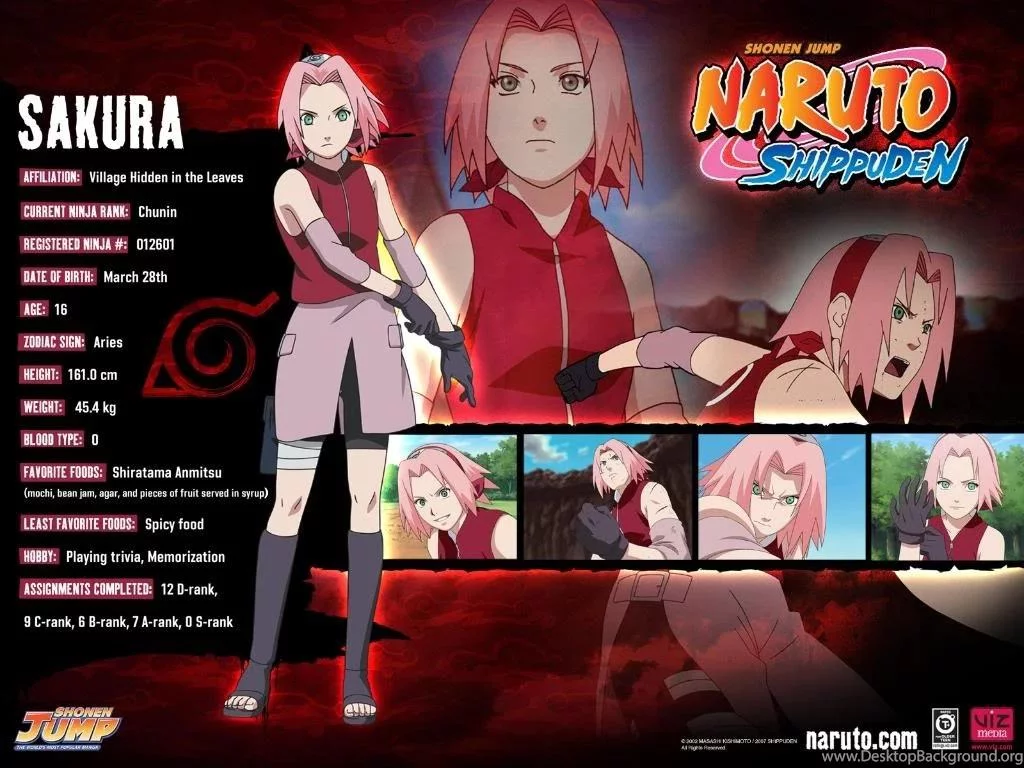 Free Download Naruto Shippuden Sakura Haruno Wallpaper Page 955043 (1024 x 768)