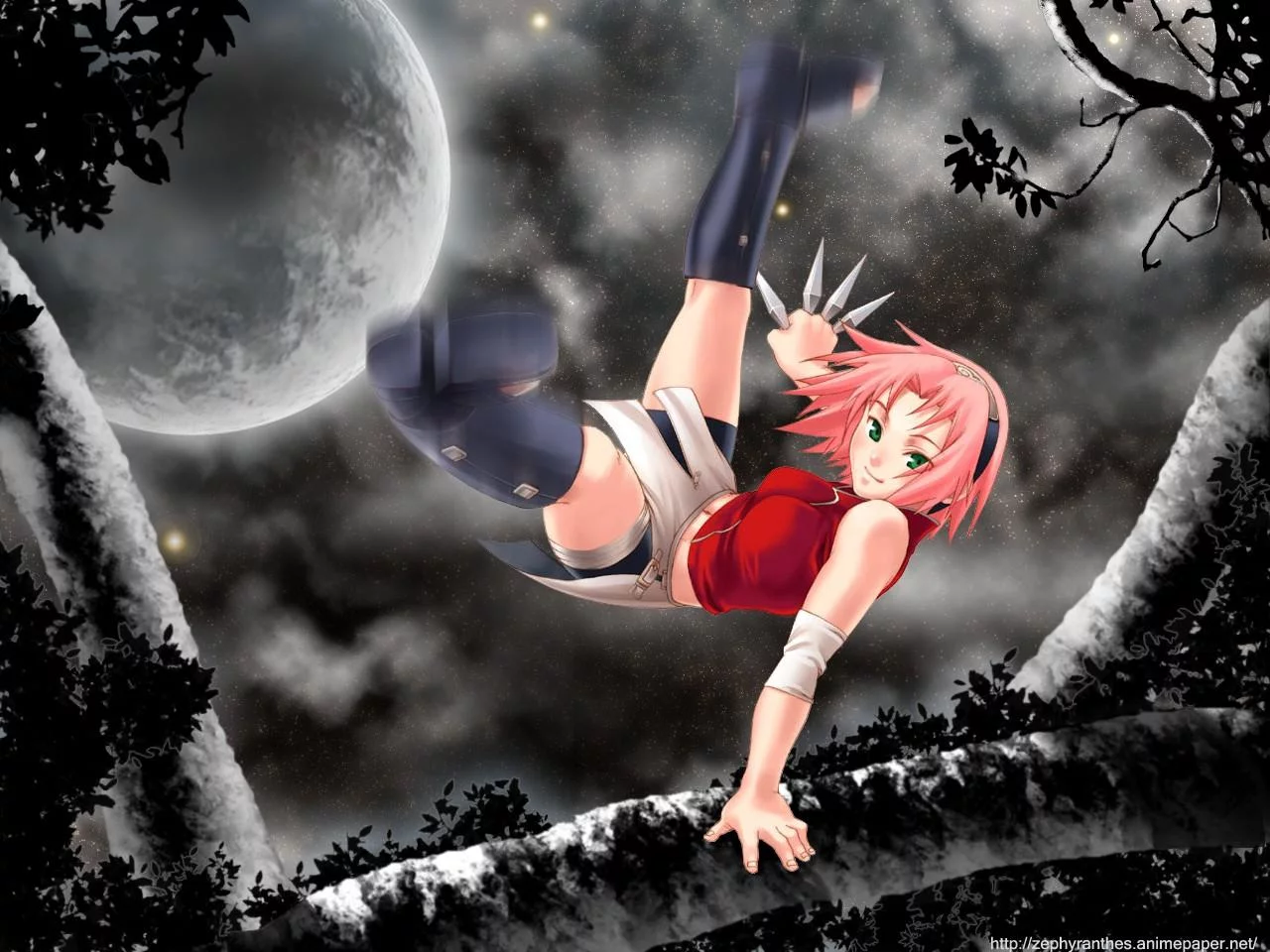 Free Download Naruto Shippuden Sakura Haruno Wallpaper Page 955056 (1280 x 960)