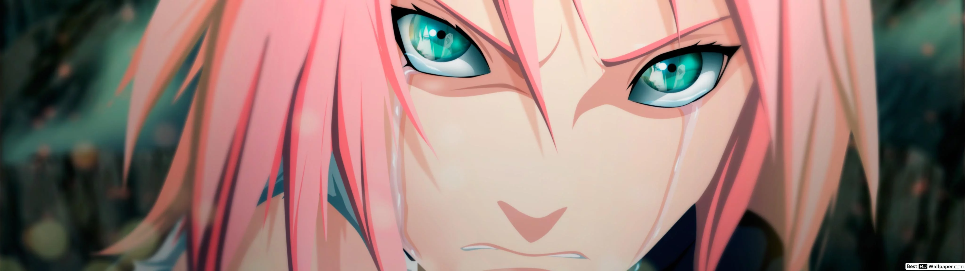 Free Download Naruto Shippuden Sakura Hd Wallpaper Page 955096 (4096 x 1152)