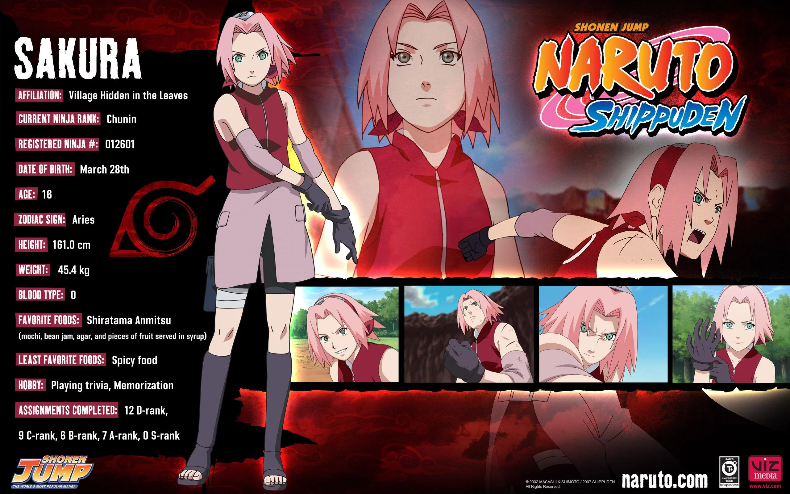 Free Download Naruto Shippuden Sakura Hd Wallpaper Page 955100 (2560 x 1600)
