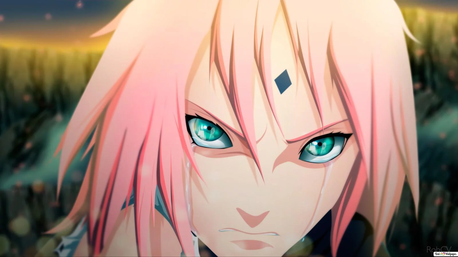 Free Download Naruto Shippuden Sakura Hd Wallpaper Page 955114 (1600 x 900)
