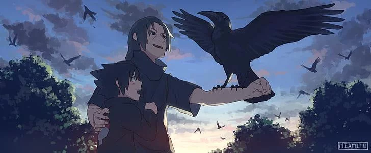 Free Download Naruto Shippuden Sasuke And Itachi Wallpaper Page 956993 (728 x 301)