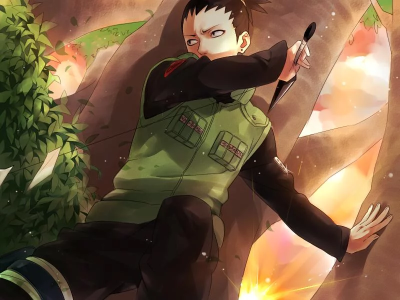 Free Download Naruto Shippuden Shikamaru Wallpaper Page 961911 (800 x 600)