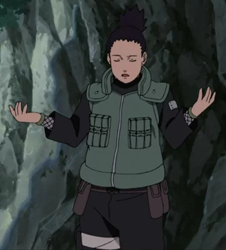 Free Download Naruto Shippuden Shikamaru Wallpaper Page 961960 (454 x 502)