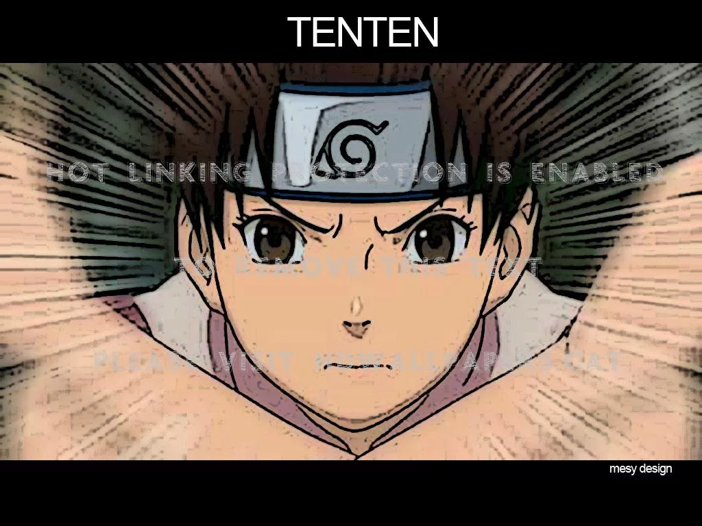 Free Download Naruto Shippuden Tenten Wallpaper Page 966251 (1024 x 768)