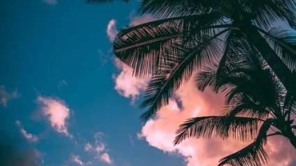 Download Wallpaper 